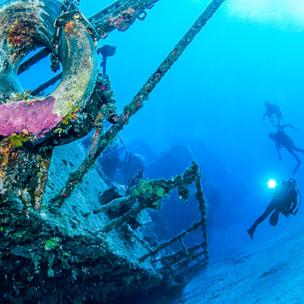 Sunk in 1996, the 330-foot MV Captain Keith Tibbetts wreck dive is popular with all levels of divers